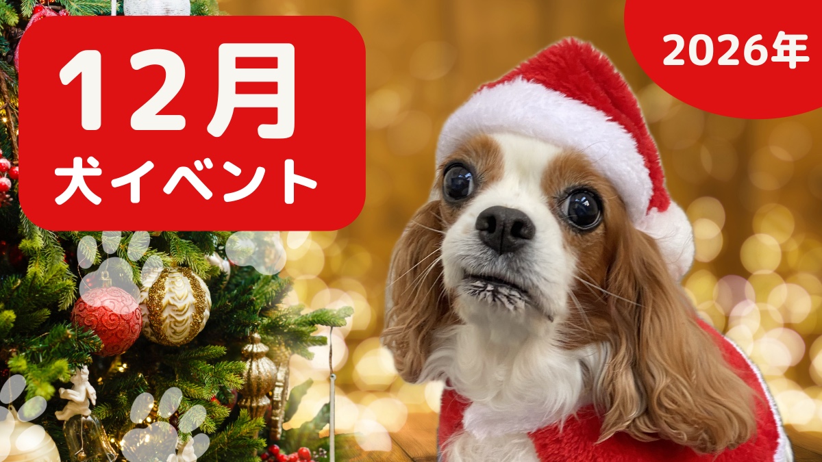 【犬とお出かけ】2026年12月犬イベントの画像