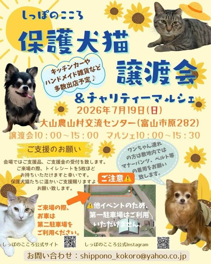しっぽのこころ 保護犬猫譲渡会＆チャリティーマルシェのイベント画像