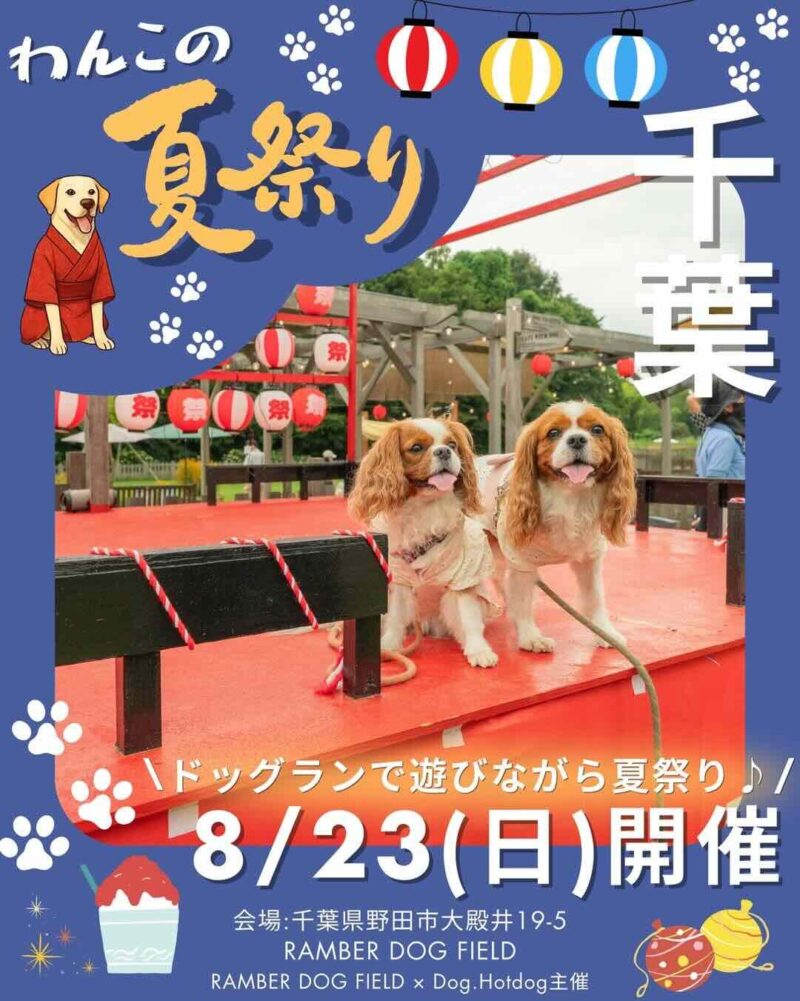 わんこの夏祭りのイベント画像
