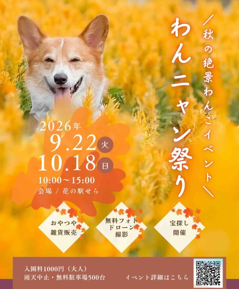 わんニャン祭り in 花の駅せらのイベント