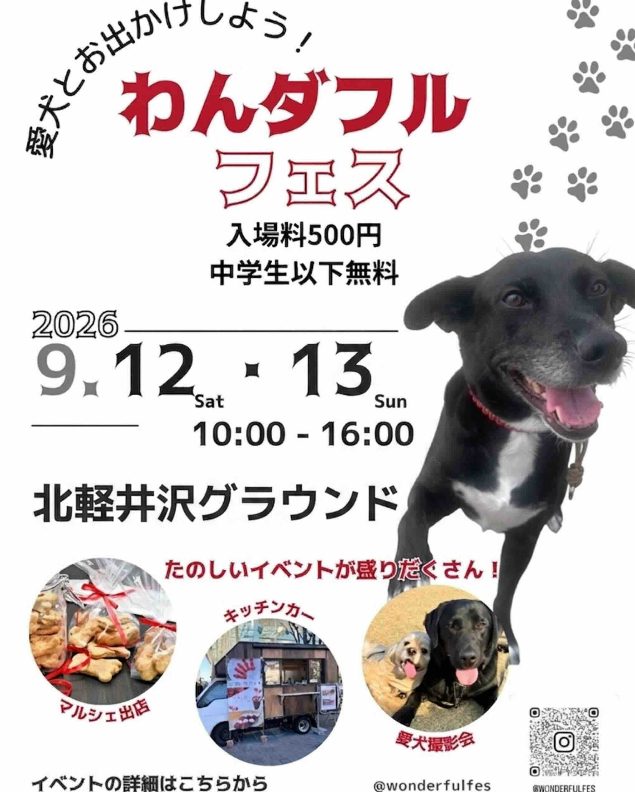 わんダフルフェス -ナイトドッグラン-のイベント画像