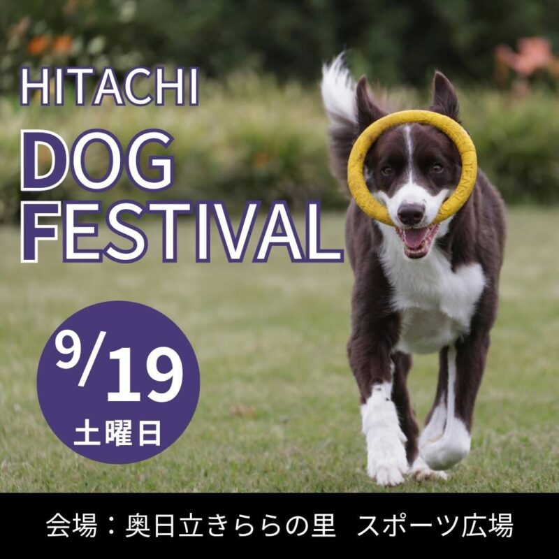 日立ドッグフェスティバルのイベント画像