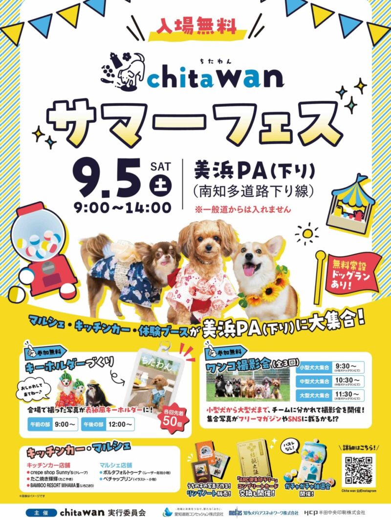 chita wanサマーフェスのイベント画像