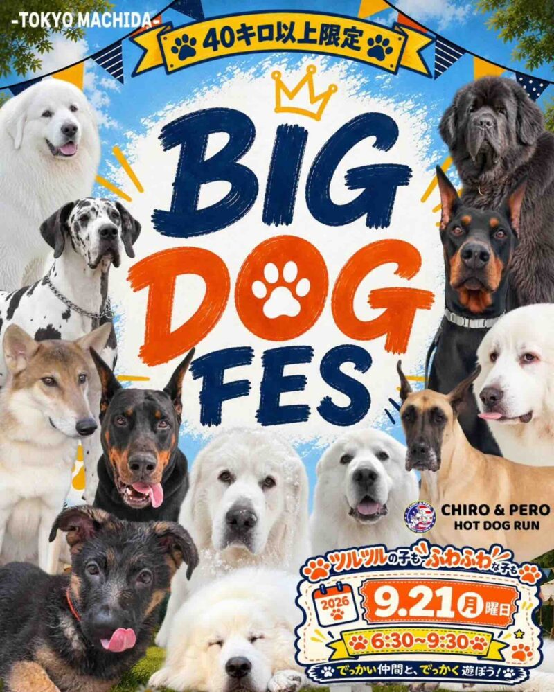 BIG DOG FES のイベント画像