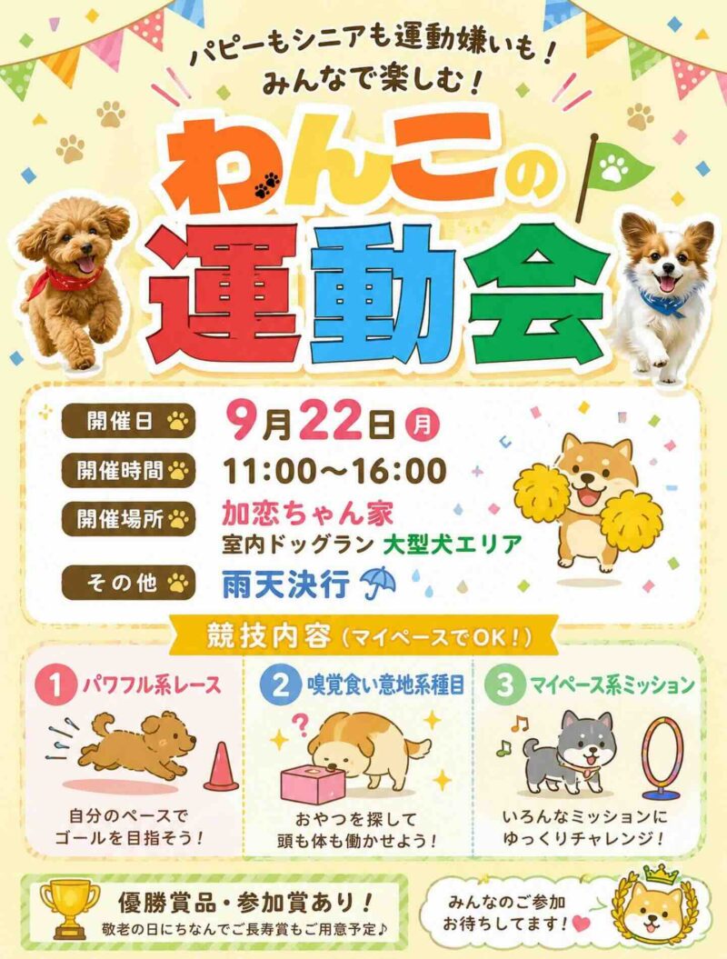 わんこの運動会のイベント画像