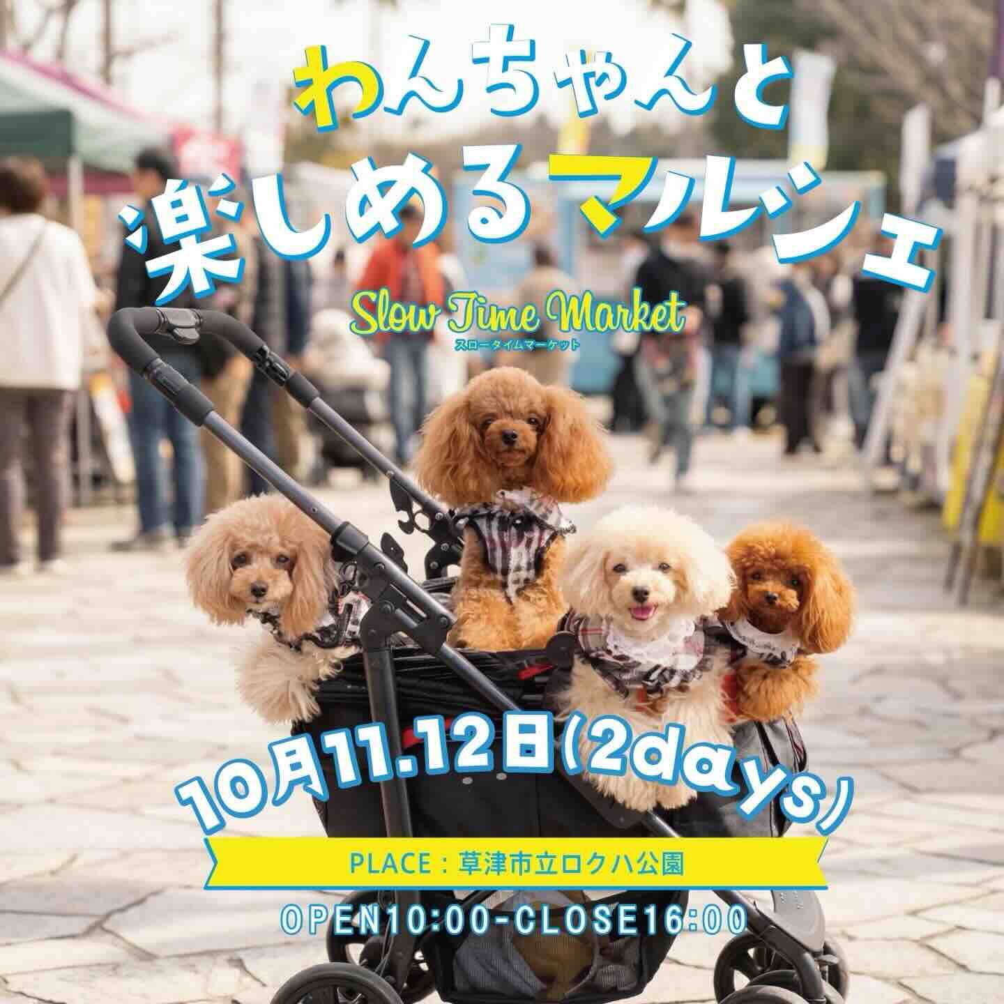 わんちゃんと楽しめるマルシェのイベント画像
