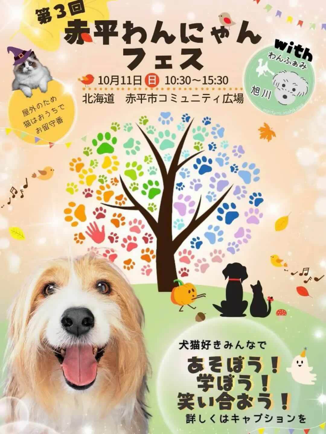 第3回 赤平わんにゃんフェスのイベント画像