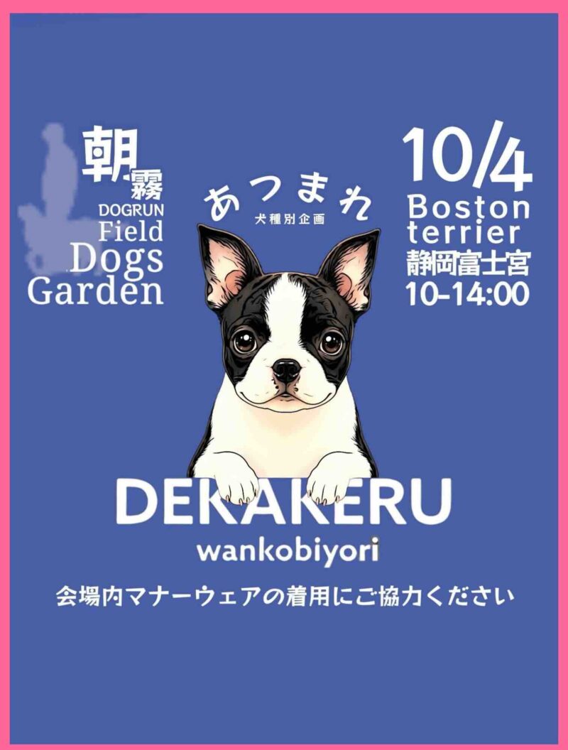 あつまれボストンテリアのイベント画像