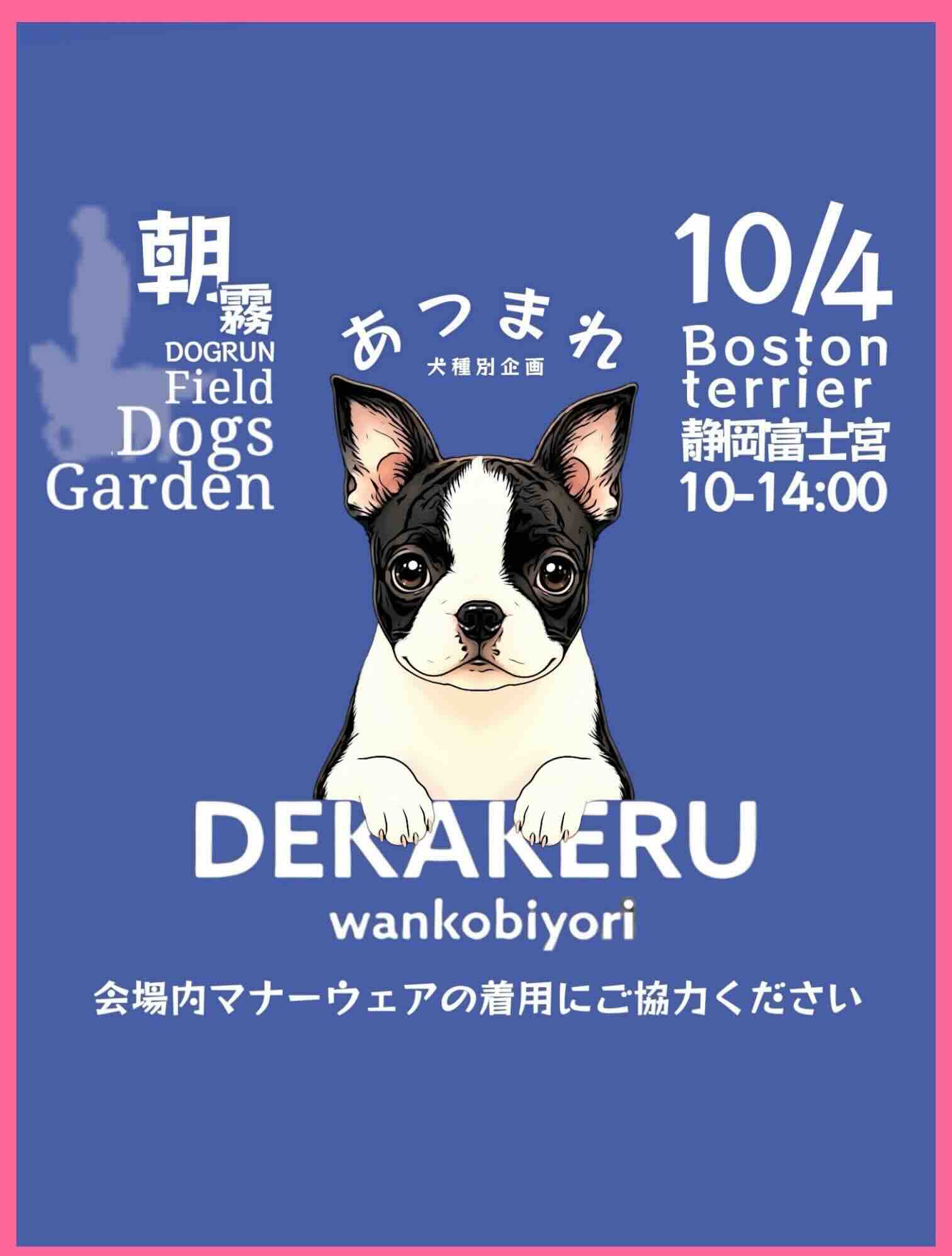 あつまれボストンテリアのイベント画像