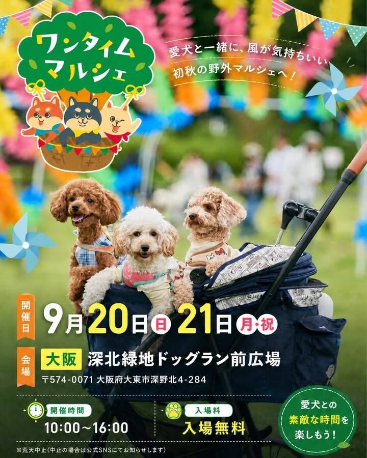 ワンタイムマルシェのイベント画像