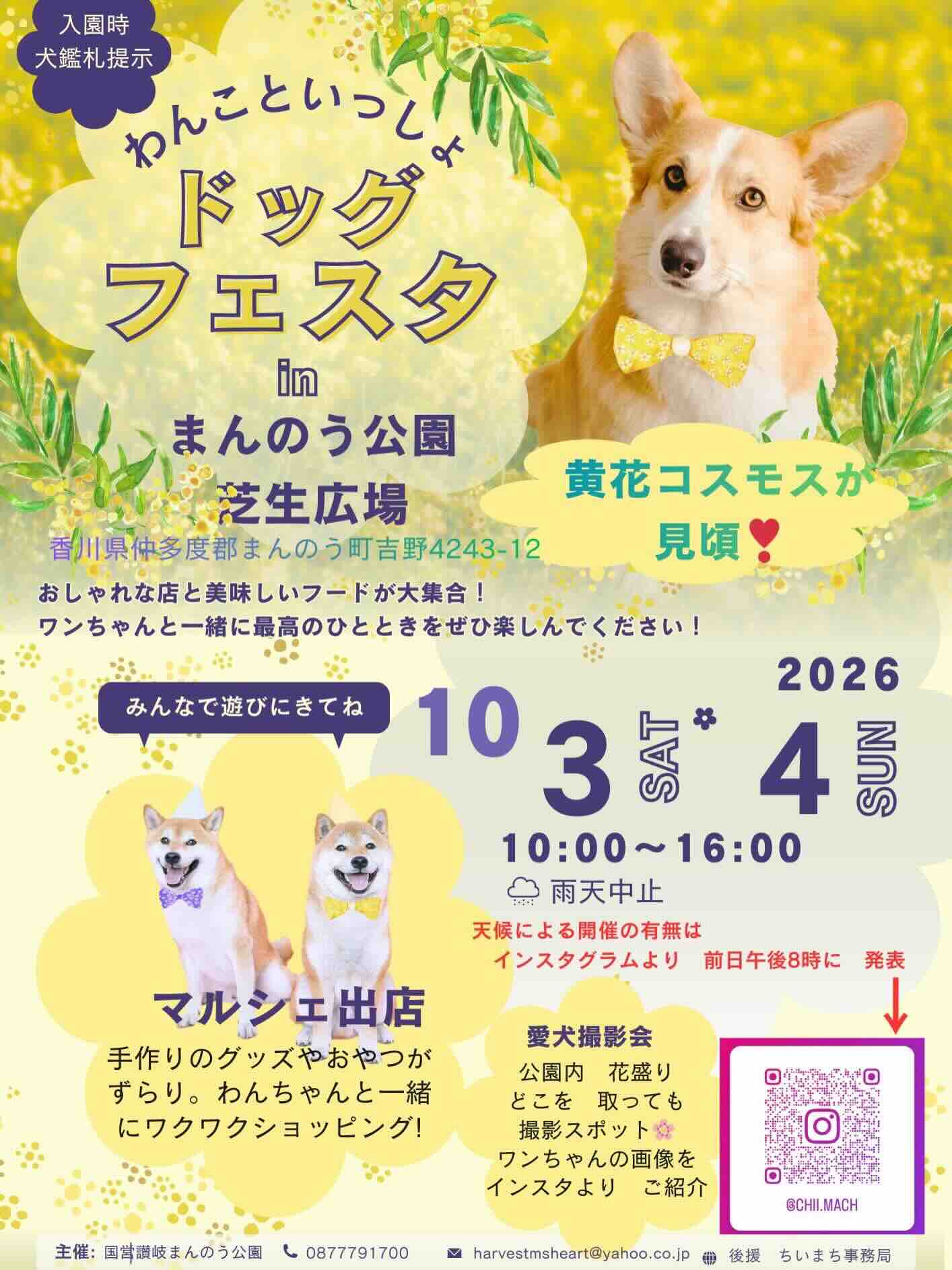 わんこといっしょドッグフェスタ in まんのう公園 芝生広場のイベント画像