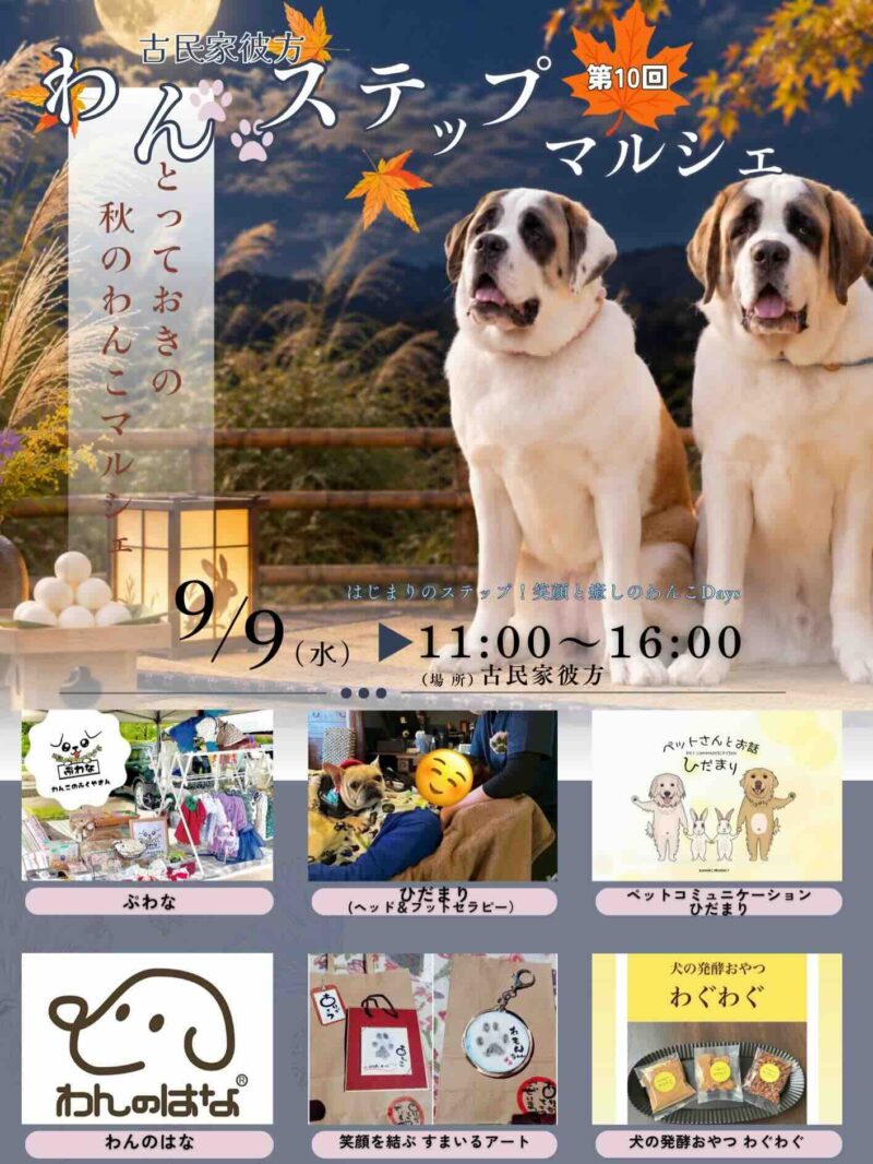 第10回 わんステップマルシェのイベント画像