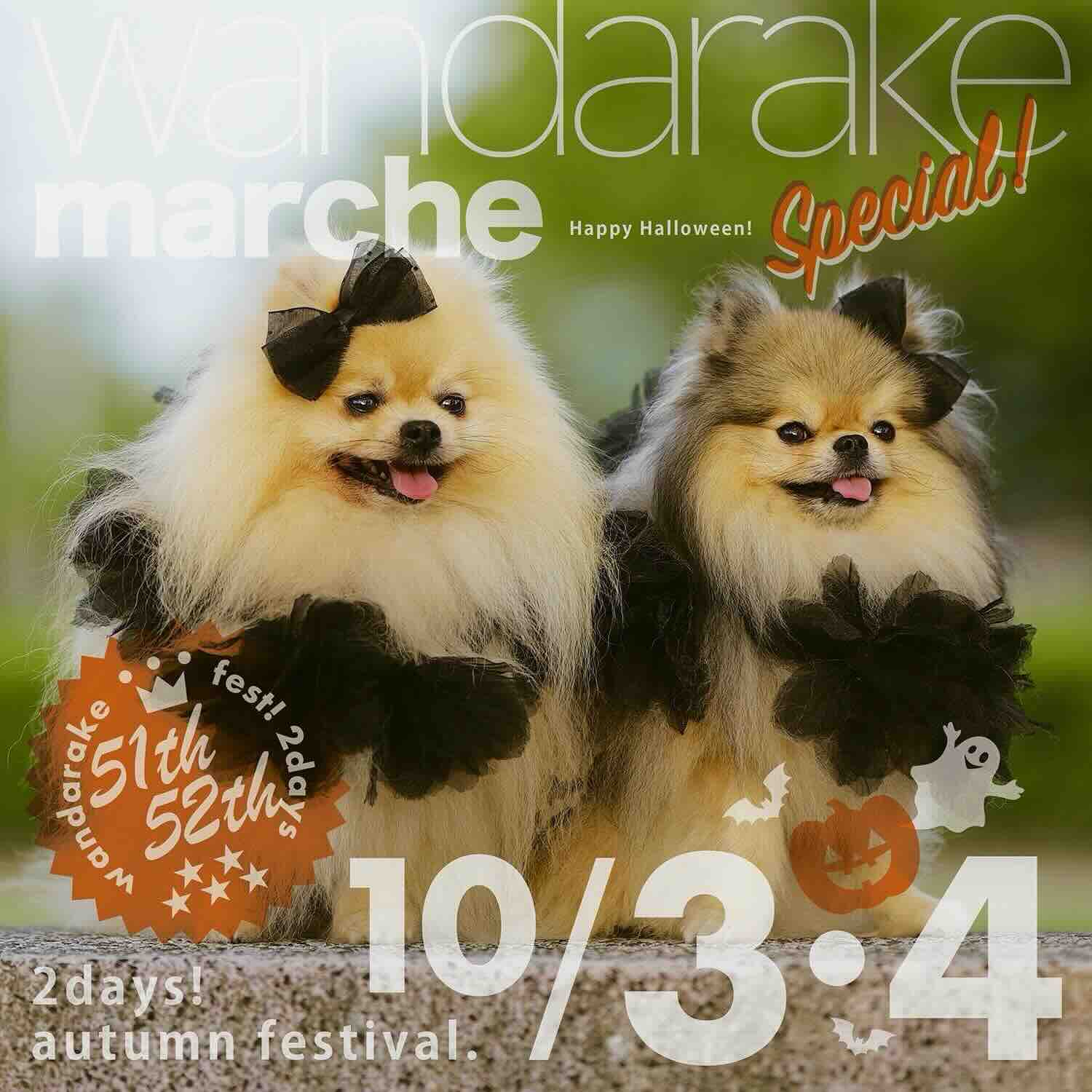 wandarakre 51&52（わんだらけマルシェ）のイベント画像