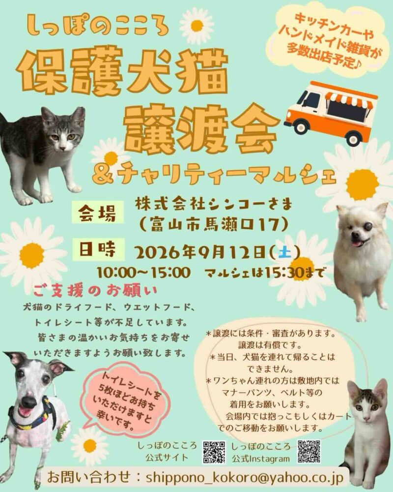 しっぽのこころ 保護犬猫譲渡会＆チャリティーマルシェのイベント画像