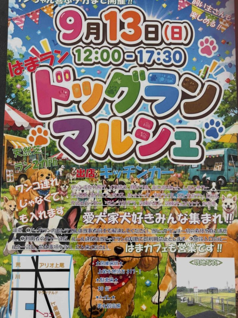 はまラン ドッグランマルシェのイベント画像