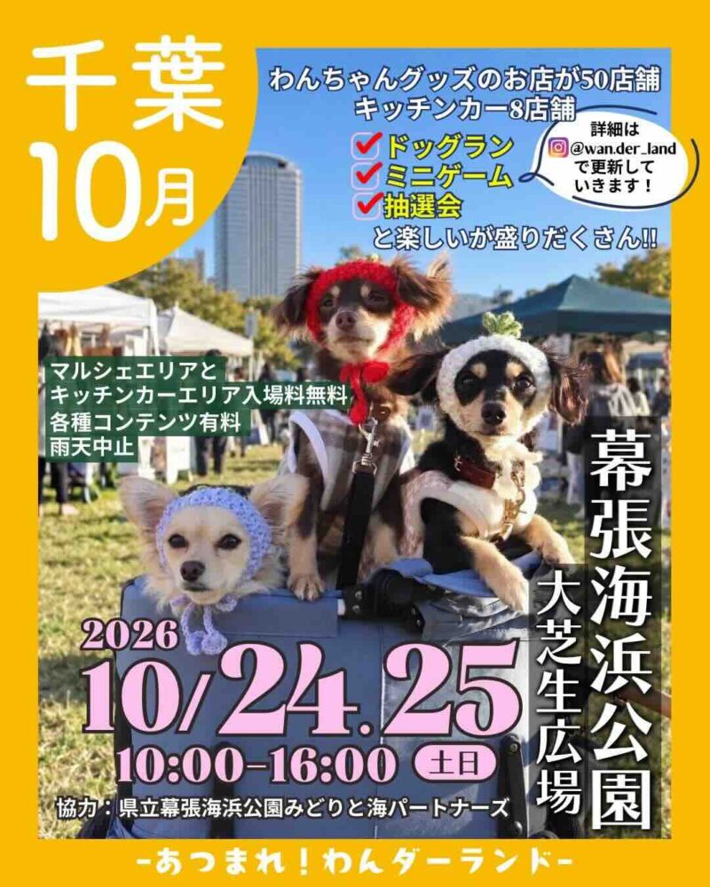 あつまれ！わんダーランドのイベント画像