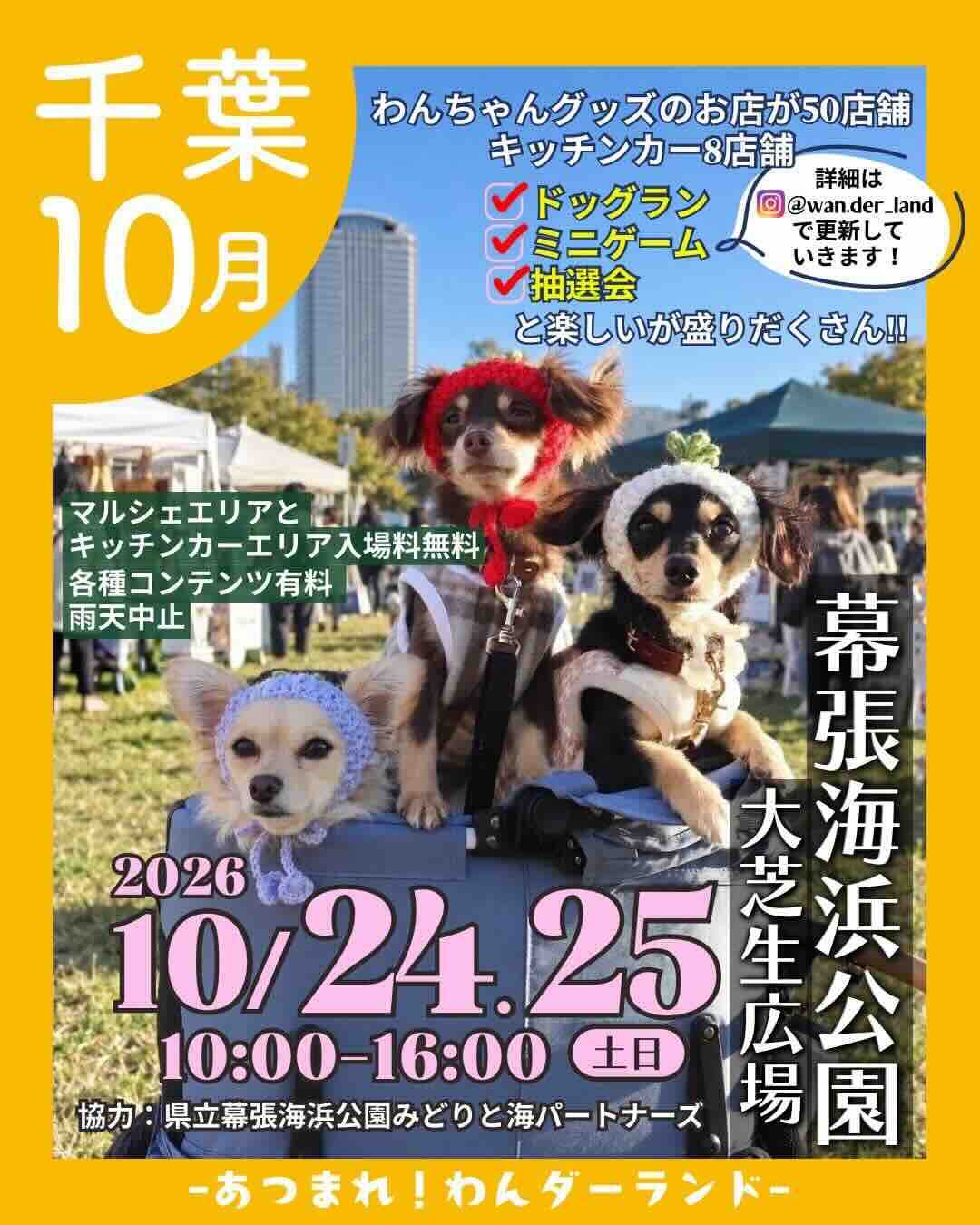 あつまれ!わんダーランドのイベント画像