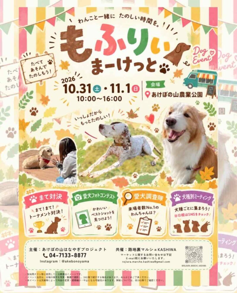 もふりぃまーけっとのイベント画像