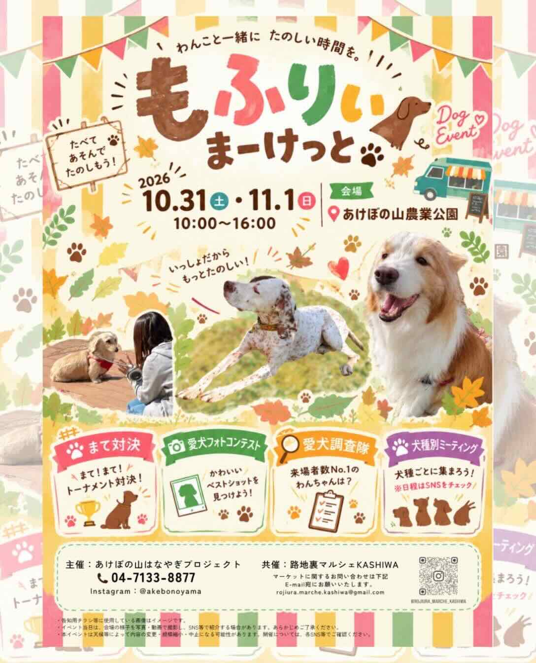 もふりぃまーけっとのイベント画像