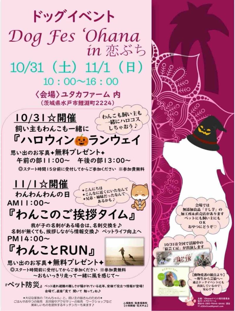 Dog Fes 'Ohana in 恋ぶち （ドッグフェスオハナ）のイベント画像