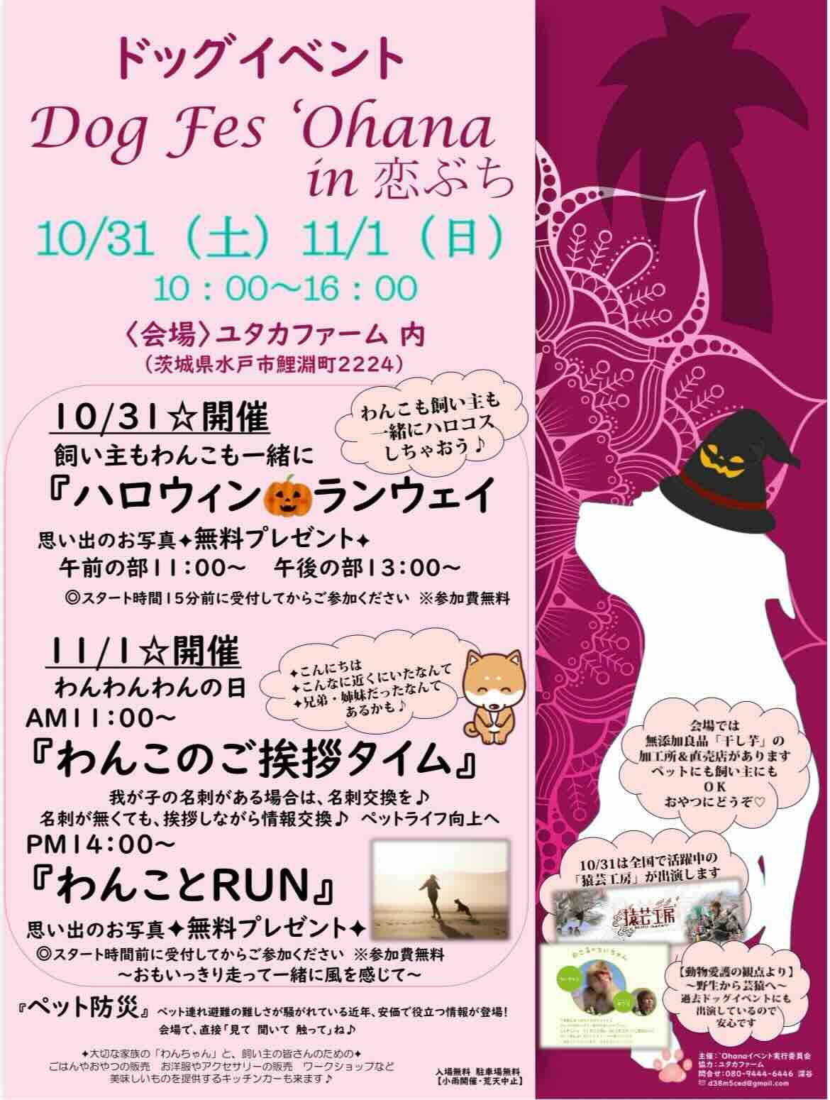 Dog Fes 'Ohana in 恋ぶち （ドッグフェスオハナ）のイベント画像