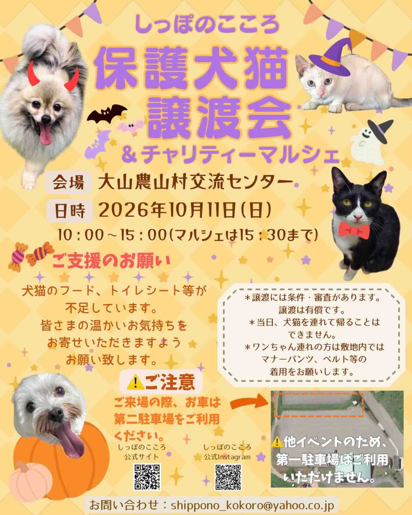 しっぽのこころ 保護犬猫譲渡会&チャリティーマルシェのイベント画像