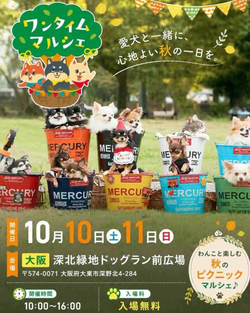 ワンタイムマルシェのイベント画像