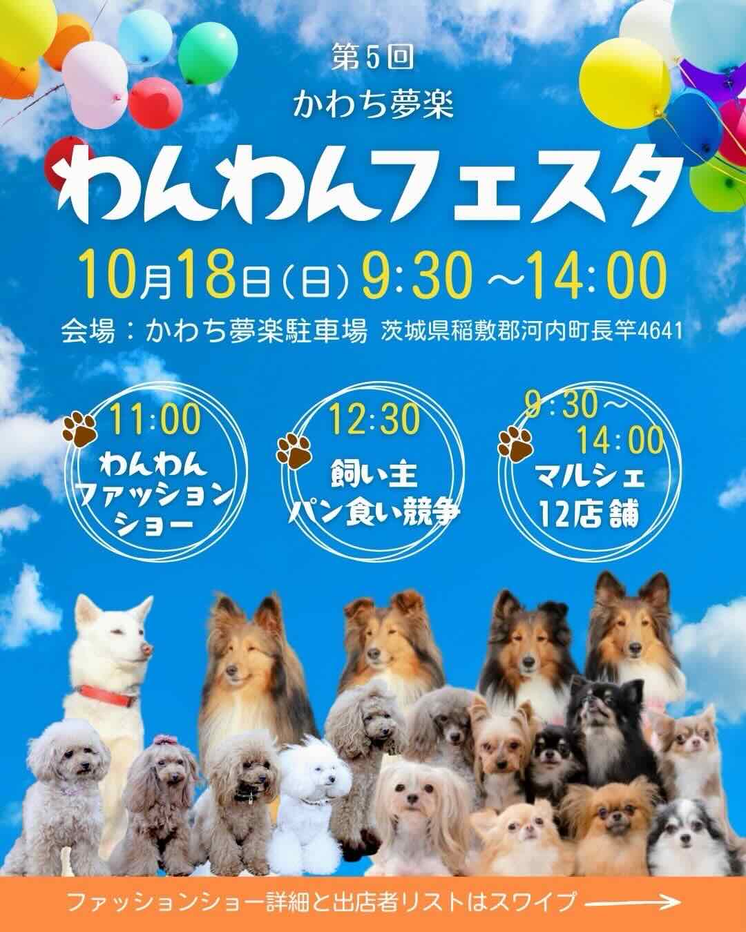 第5回 かわち夢楽 わんわんフェスタのイベント画像