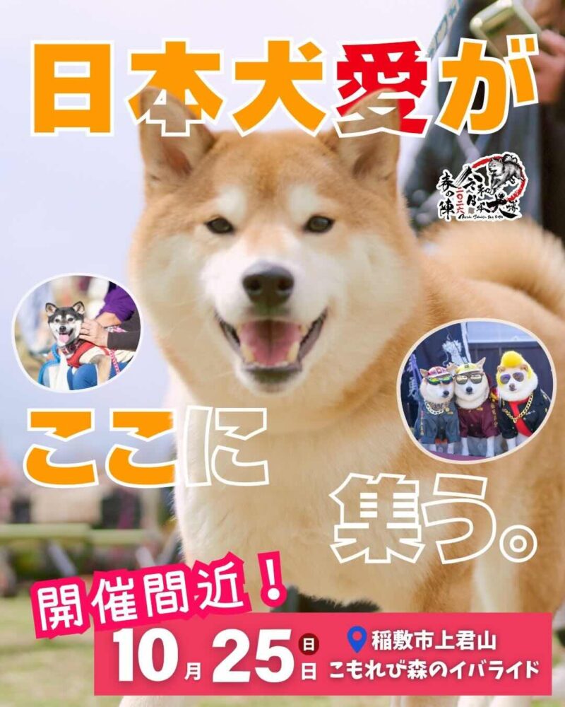 令和日本犬博 2026 秋の陣のイベント画像