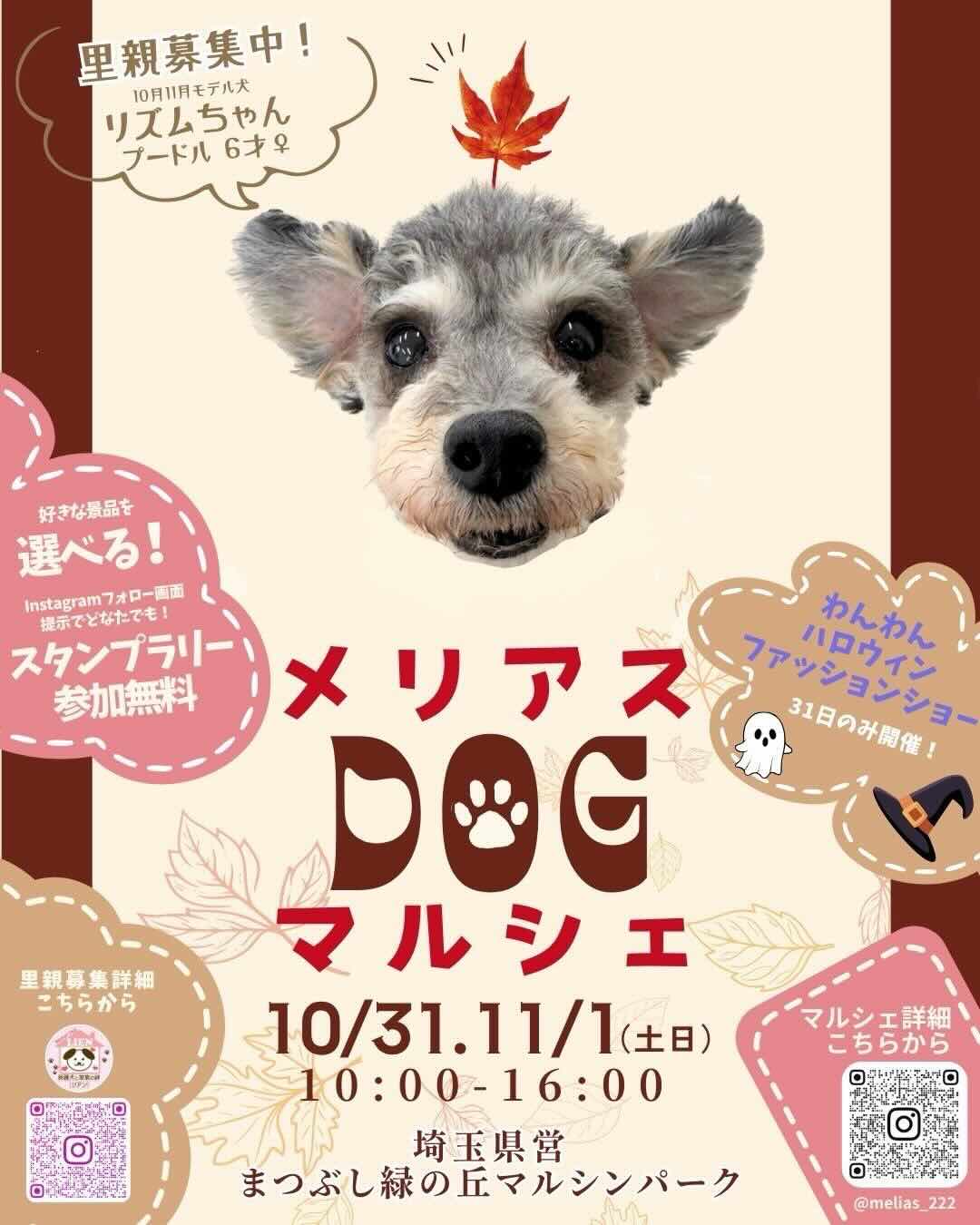 メリアスDOGマルシェのイベント画像
