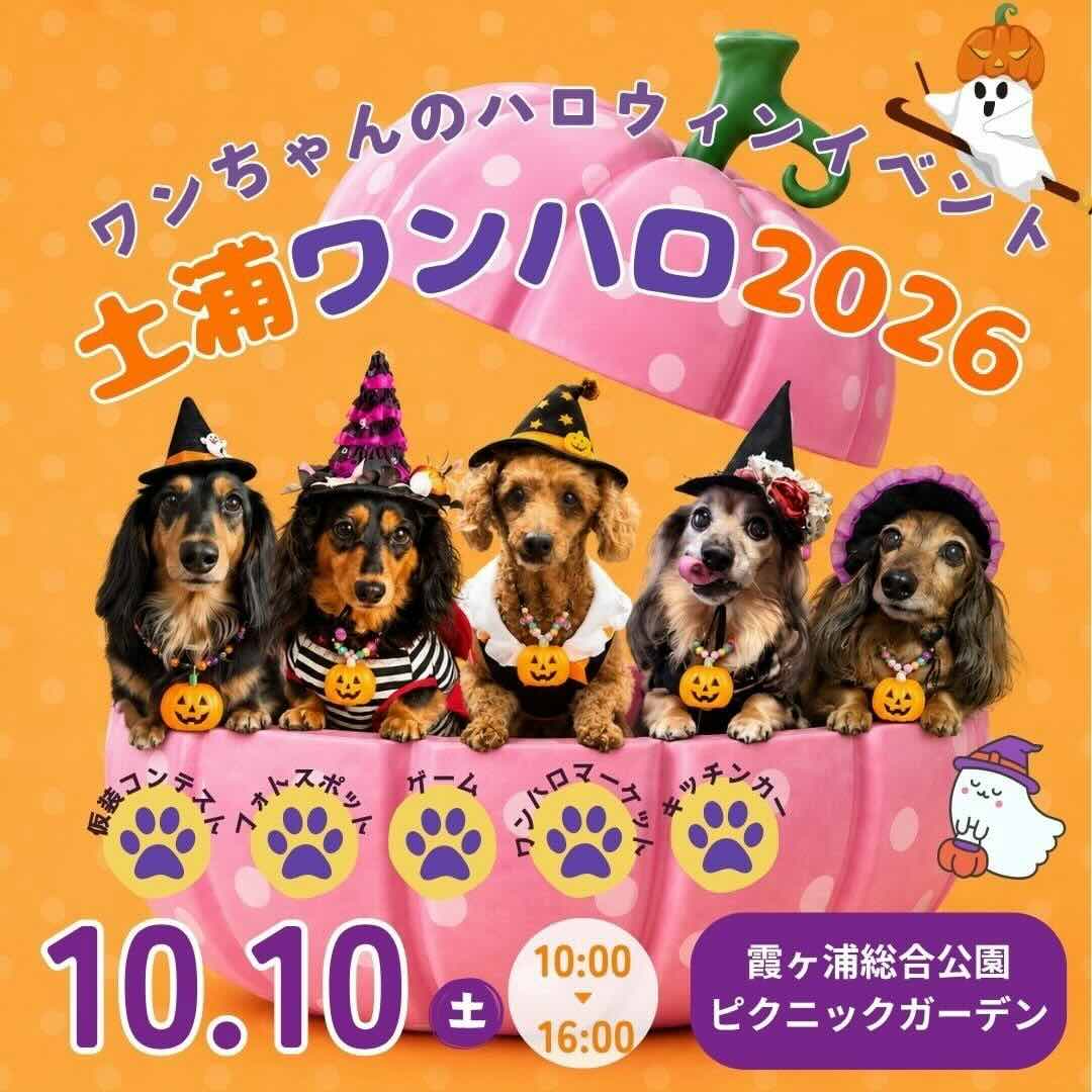 土浦ワンハロ2026のイベント画像