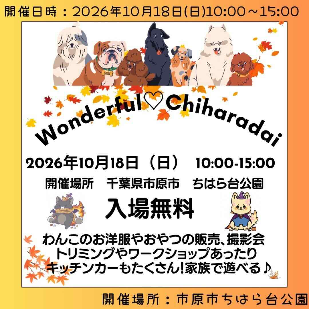 わんだふるちはらだいのイベント画像