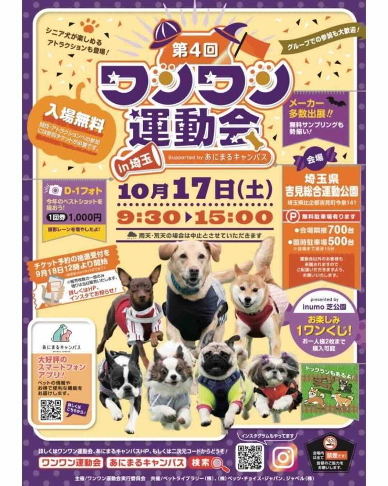 第4回 ワンワン運動会 in 埼玉のイベント画像