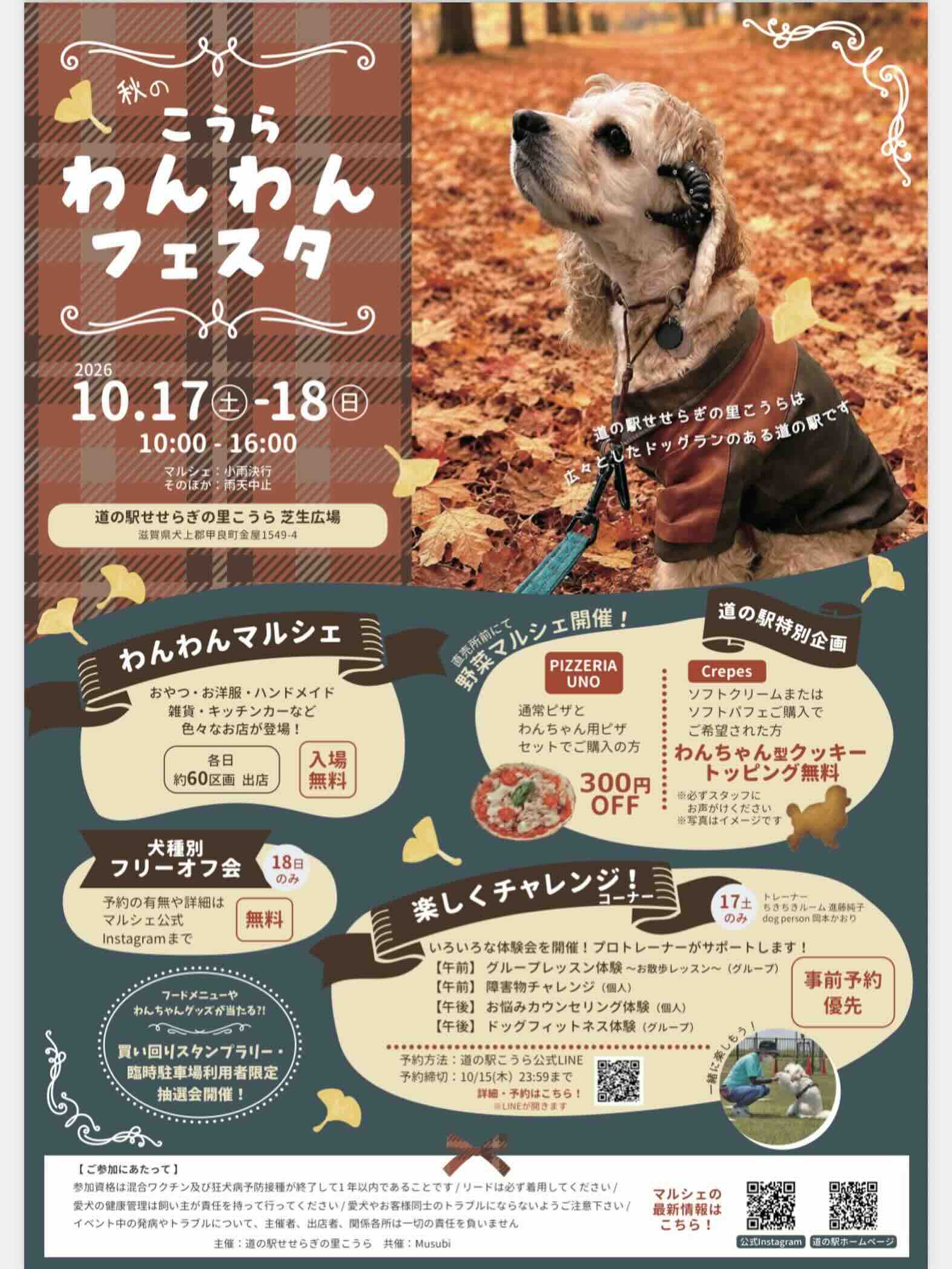 秋のこうら わんわんフェスタのイベント画像