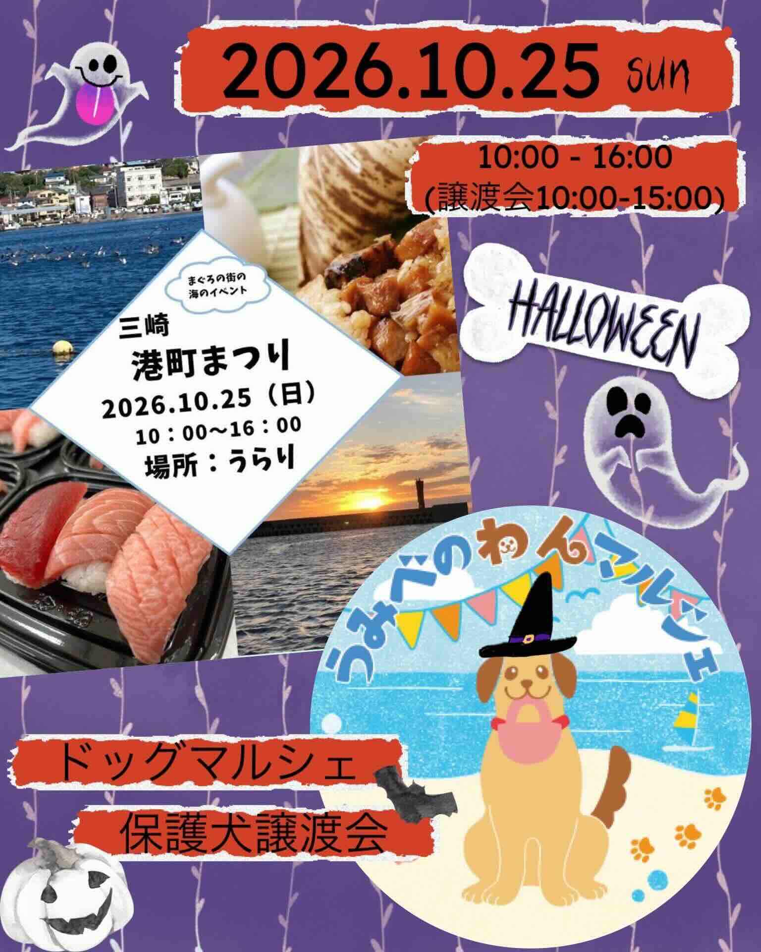 うみべのわんマルシェのイベント画像